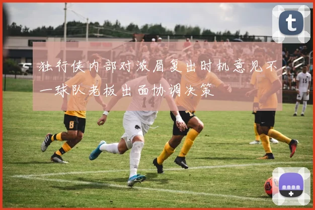 独行侠内部对浓眉复出时机意见不一球队老板出面协调决策