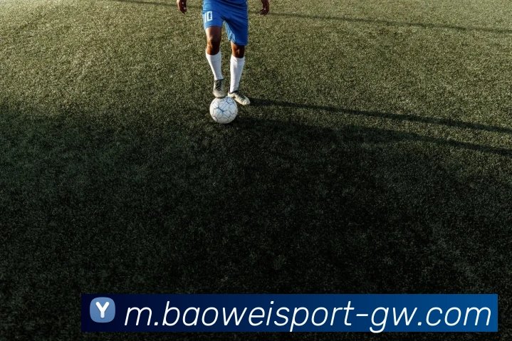 多媒体互动体验